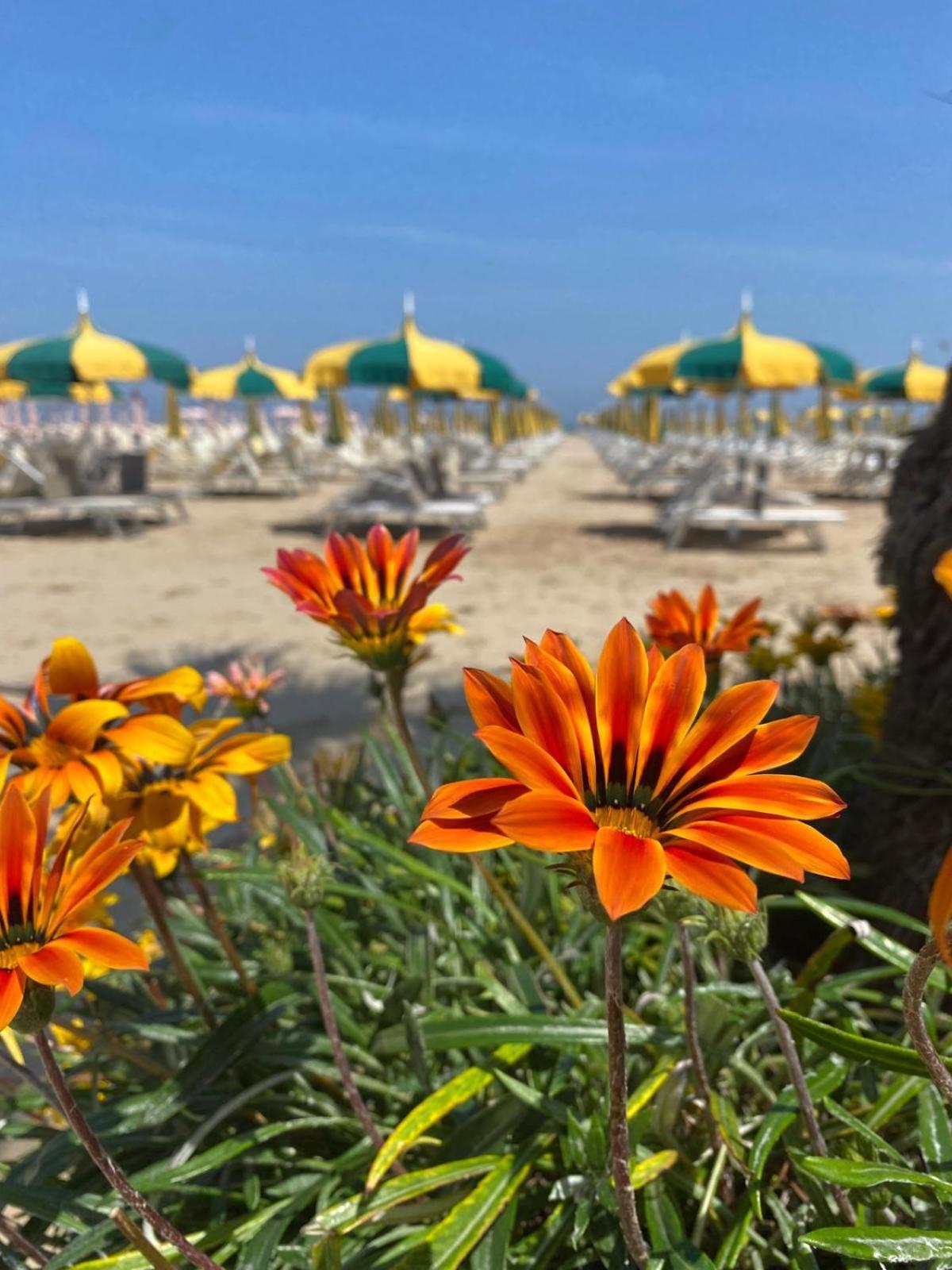 Rimini Bay Suites&Residence מראה חיצוני תמונה