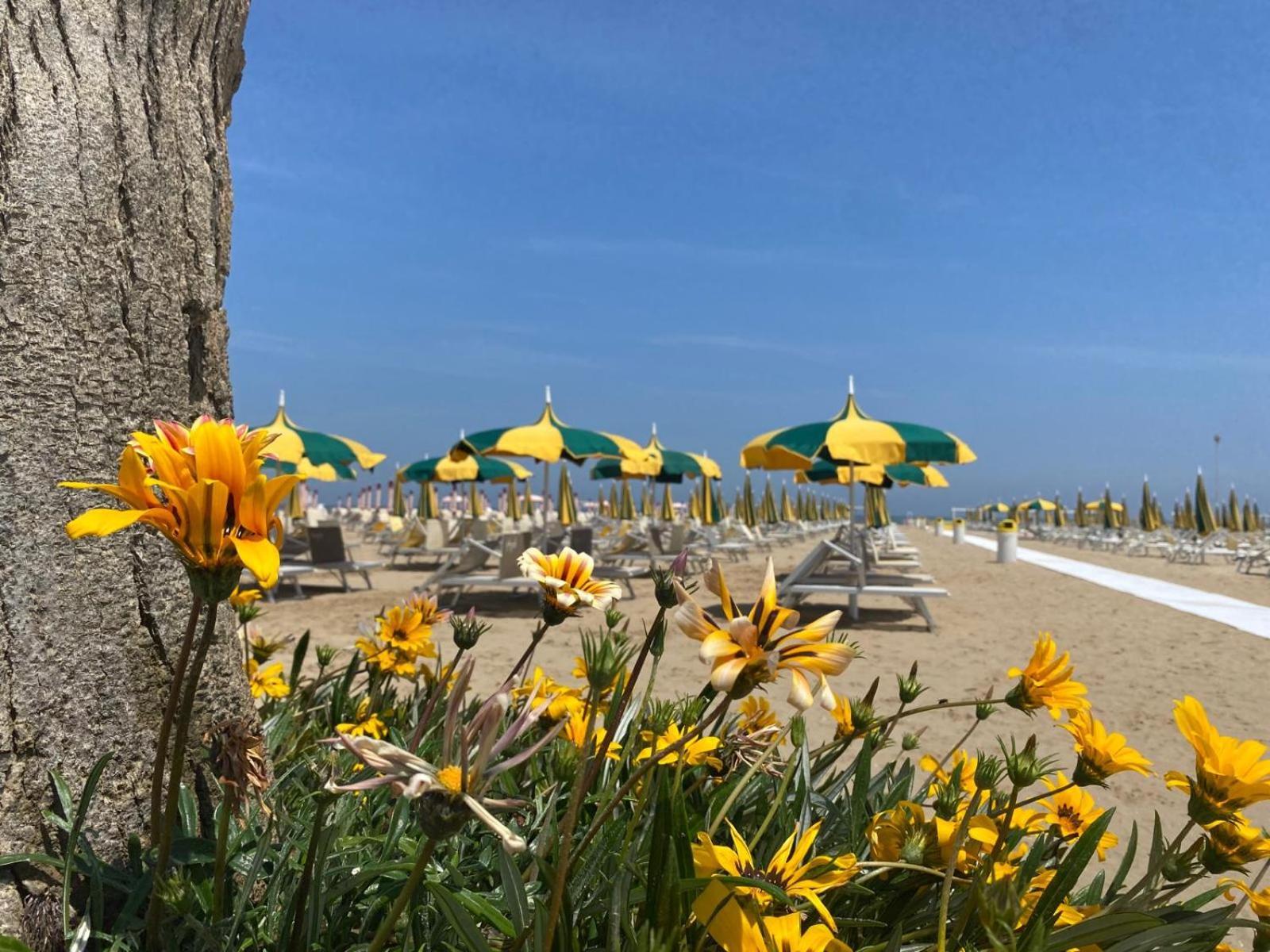 Rimini Bay Suites&Residence מראה חיצוני תמונה